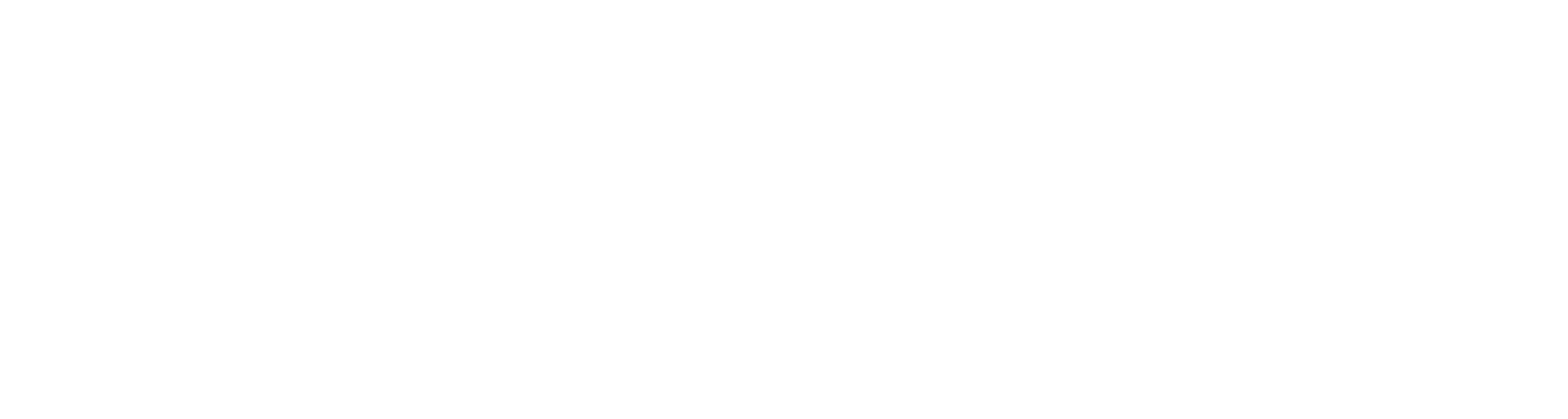 Bee Advise Consultancy Services